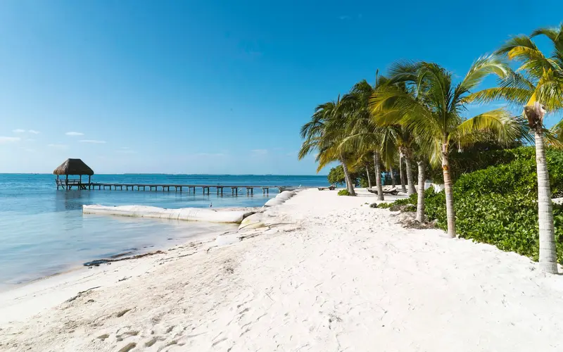 White-sand beach with palm trees and a pier