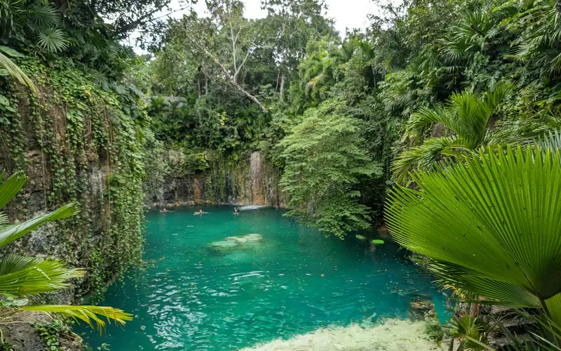 Turquoise cenote surrounded by jungle
